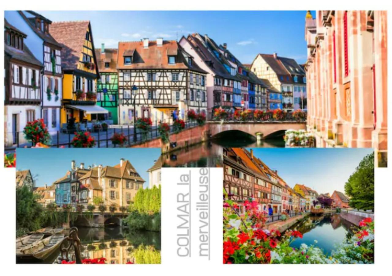 Thann Colmar - 1 Chambre - 5 Pers - Parking Eksteriør bilde